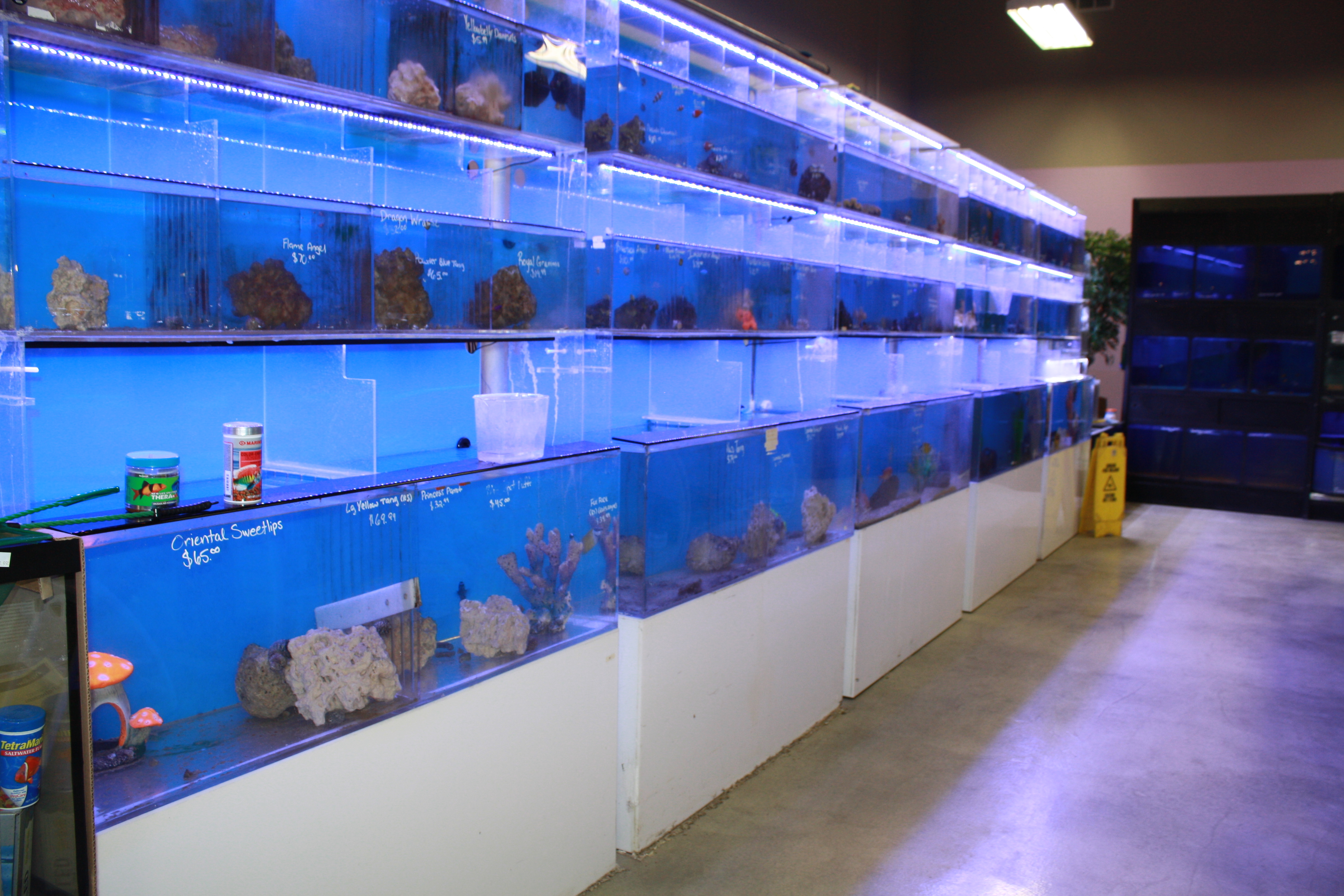 Fish – Pet Palace WV